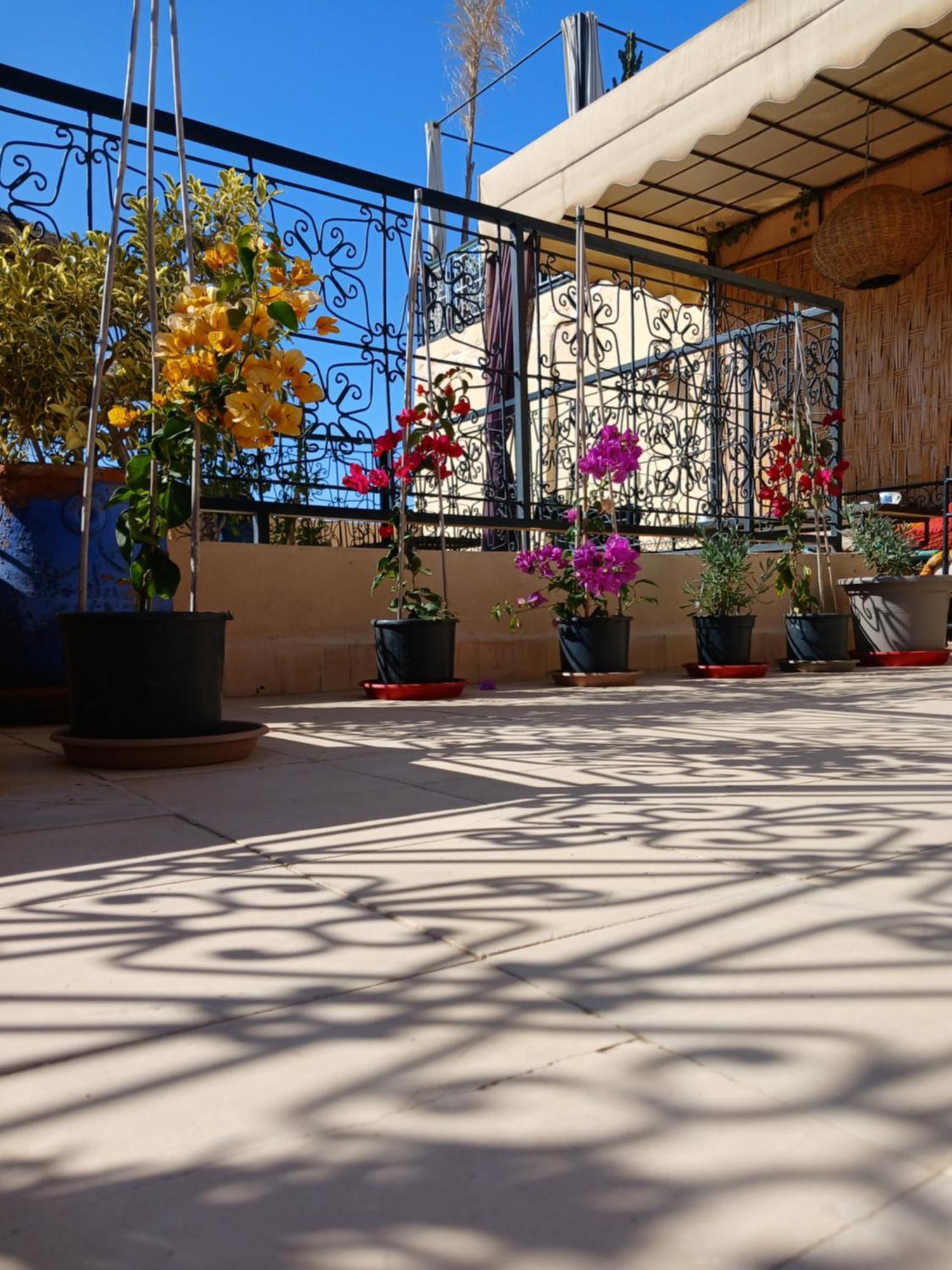 Riad Dantella Marrakesh Ngoại thất bức ảnh