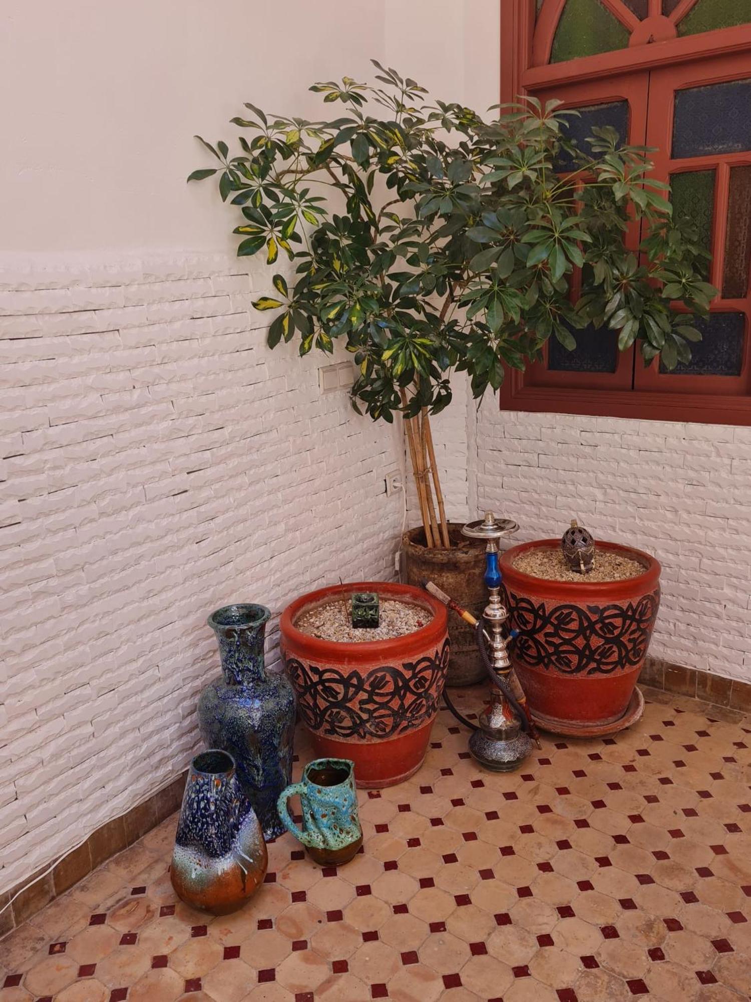 Riad Dantella Marrakesh Ngoại thất bức ảnh