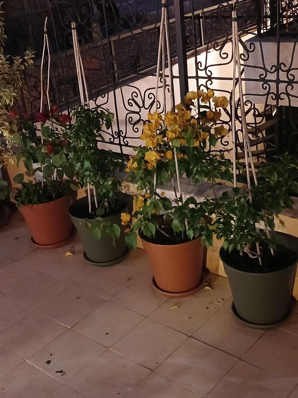 Riad Dantella Marrakesh Ngoại thất bức ảnh